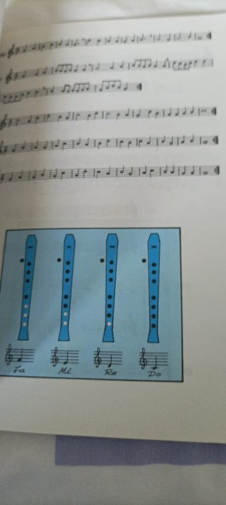 Formación musical cursos 6o., 7o. y 8o. de E.G....