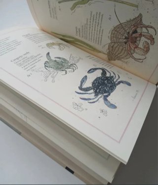 Inventario Ilustrado de los mares