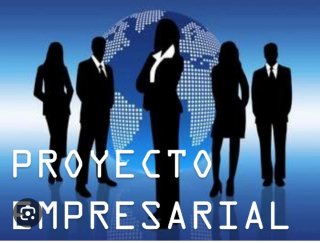 Proyecto empresarial