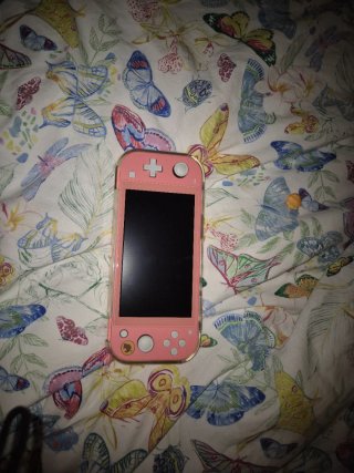 Nintendo Switch Lite Coral Rosa + Funda