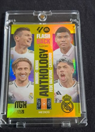 Cromo Panini EA Sports Flashback Anthology
