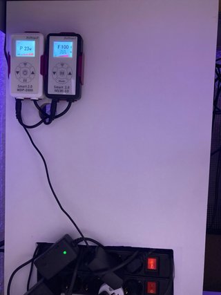 Acuario Marino 330L con Sump
