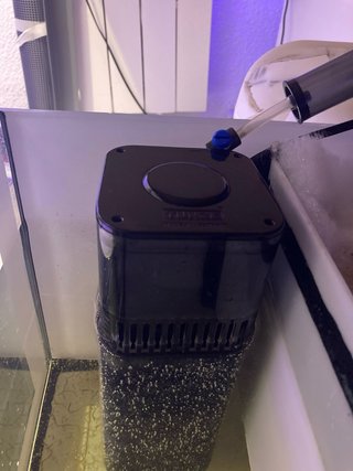 Acuario Marino 330L con Sump