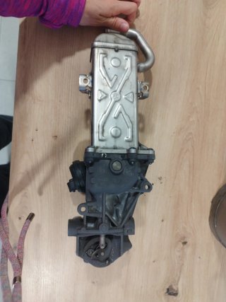 Válvula EGR Volkswagen