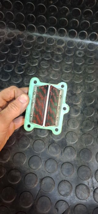 Caja de láminas Boyesen Gas Gas EC 250