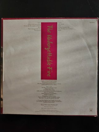Vinilo U2 The Unforgettable Fire LP.