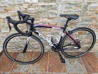 Bicicleta de carretera Wilier Triestina Luna
