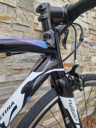Bicicleta de carretera Wilier Triestina Luna