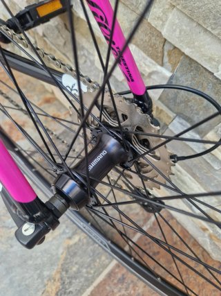 Bicicleta de carretera Wilier Triestina Luna