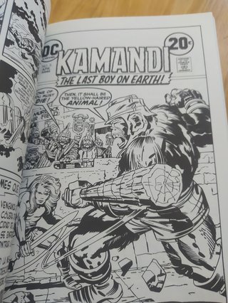 KAMANDI 5 NUMEROS COLECCION COMPLETA  PLANETA