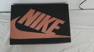 Nike Air Max 95 Central Cee