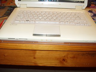 Portátil Sony VAIO PCG-3E1M Beige