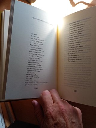 Carlos Marzal El corazón perplejo: Poesía completa