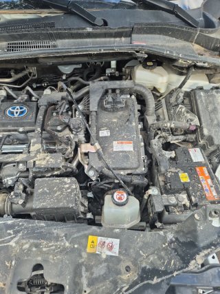Despiece Toyota CHR 2023