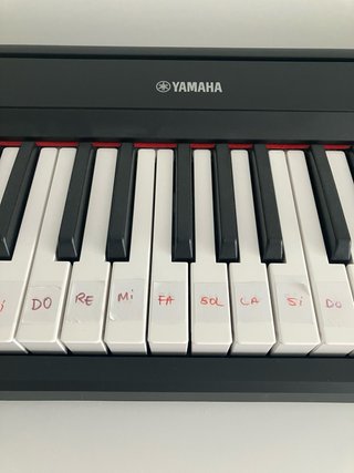 Piano Digital Yamaha Piaggero NP-15