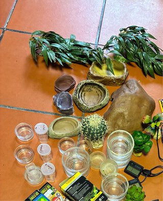 Accesorios terrario: bebederos, plantas, tubos