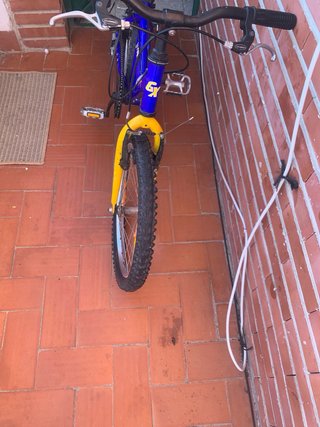Bicicleta infantil GENOX STAR azul