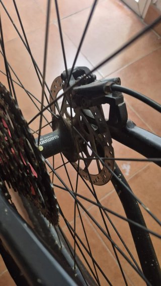 Bicicleta