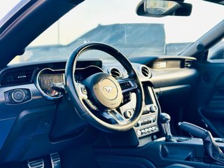 FORD MUSTANG 2.3 2020