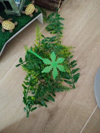 Tortuguera con accesorios y plantas