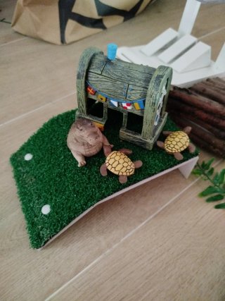 Tortuguera con accesorios y plantas
