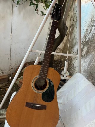 Guitarra acústica Washburn