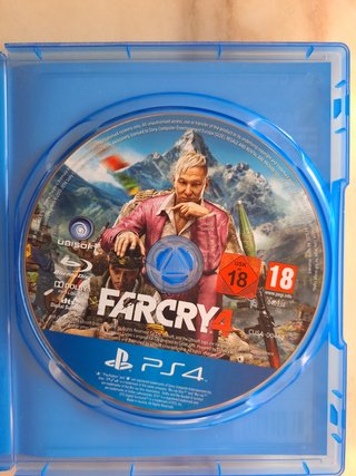 Far Cry 4 PS4 Usado