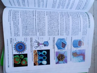 Biología, Bachillerato 2