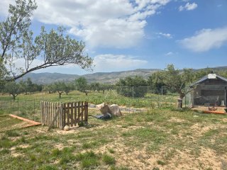 Parcela en terreno rural, totalmente vallada
