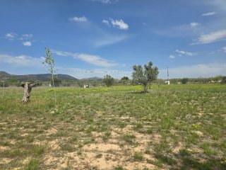 Parcela en terreno rural, totalmente vallada