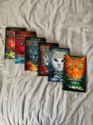 Los gatos guerreros