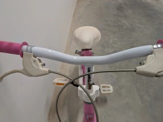 Bicicleta Peppa Pig niña rosa 12 buen estado