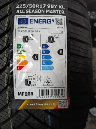 NEUMÁTICOS 225/50 R17 TODO ESTACIONES