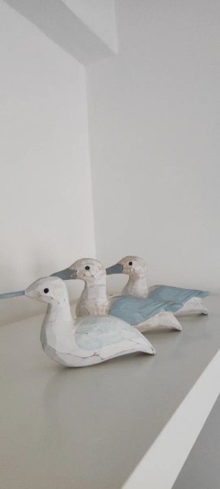 Kit Decorazione Marina per Vetrine