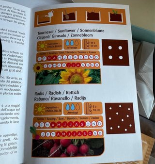 L'Atelier Mini Potager - Il mio orto