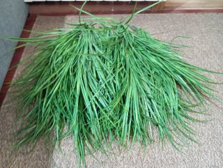 12 Ramas verdes artificiales PREMIUM 70 cm