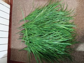 12 Ramas verdes artificiales PREMIUM 70 cm