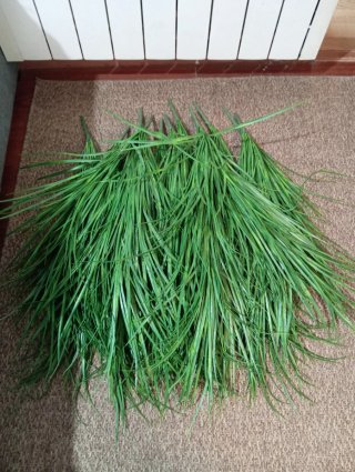 12 Ramas verdes artificiales PREMIUM 70 cm