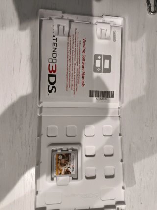 Nintendogs + Cats Golden Retriever 3DS