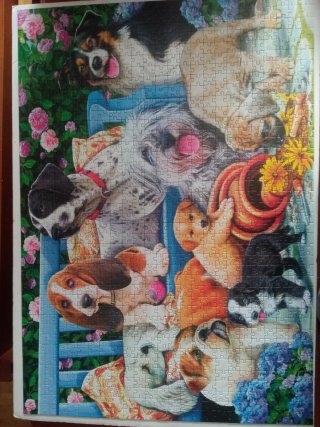 Puzzle 1000 piezas perros Trefl