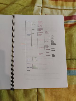 CURSO DE MEDIOAMBIENTE