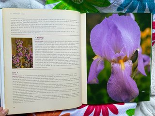 Libro “El gran libro de la jardinería”