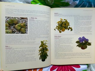 Libro “El gran libro de la jardinería”
