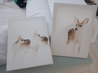 2 Cuadros Ciervo Acuarela 30x40