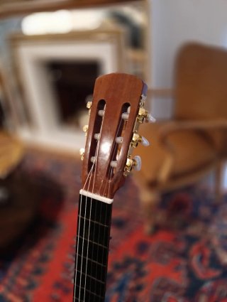 Guitarra española