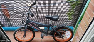 Bicicleta infantil con ruedines