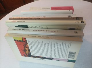 Lote Literatura (8)