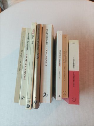 Lote Literatura (8)