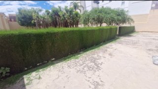 Servicios de poda y jardinería