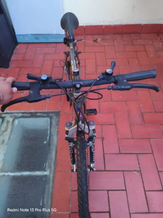 Bicicleta de montaña